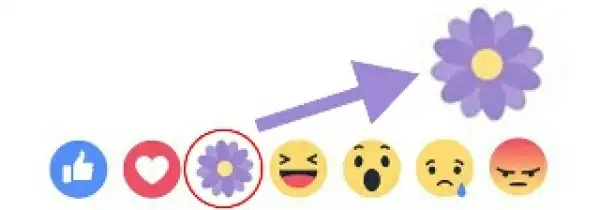 See Why ’Thankful Reaction’ Was Removed From Facebook After Few Days Of Introduction